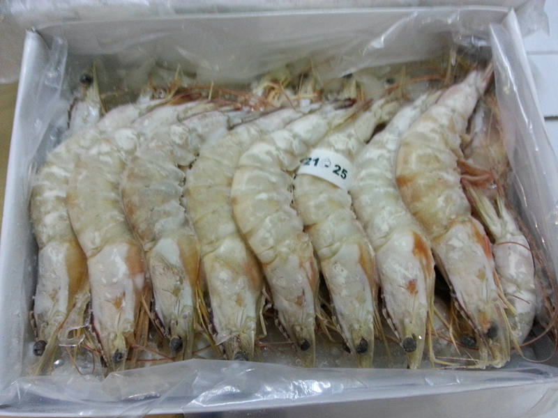 White Prawn