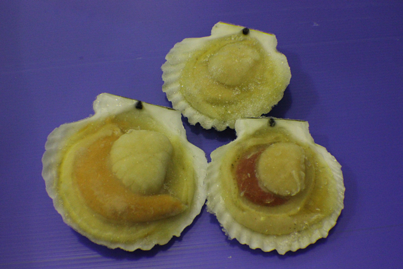 Scallop (Half Shell)