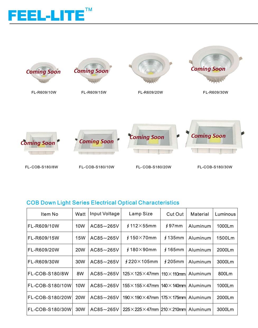 COB Down Light Series 1