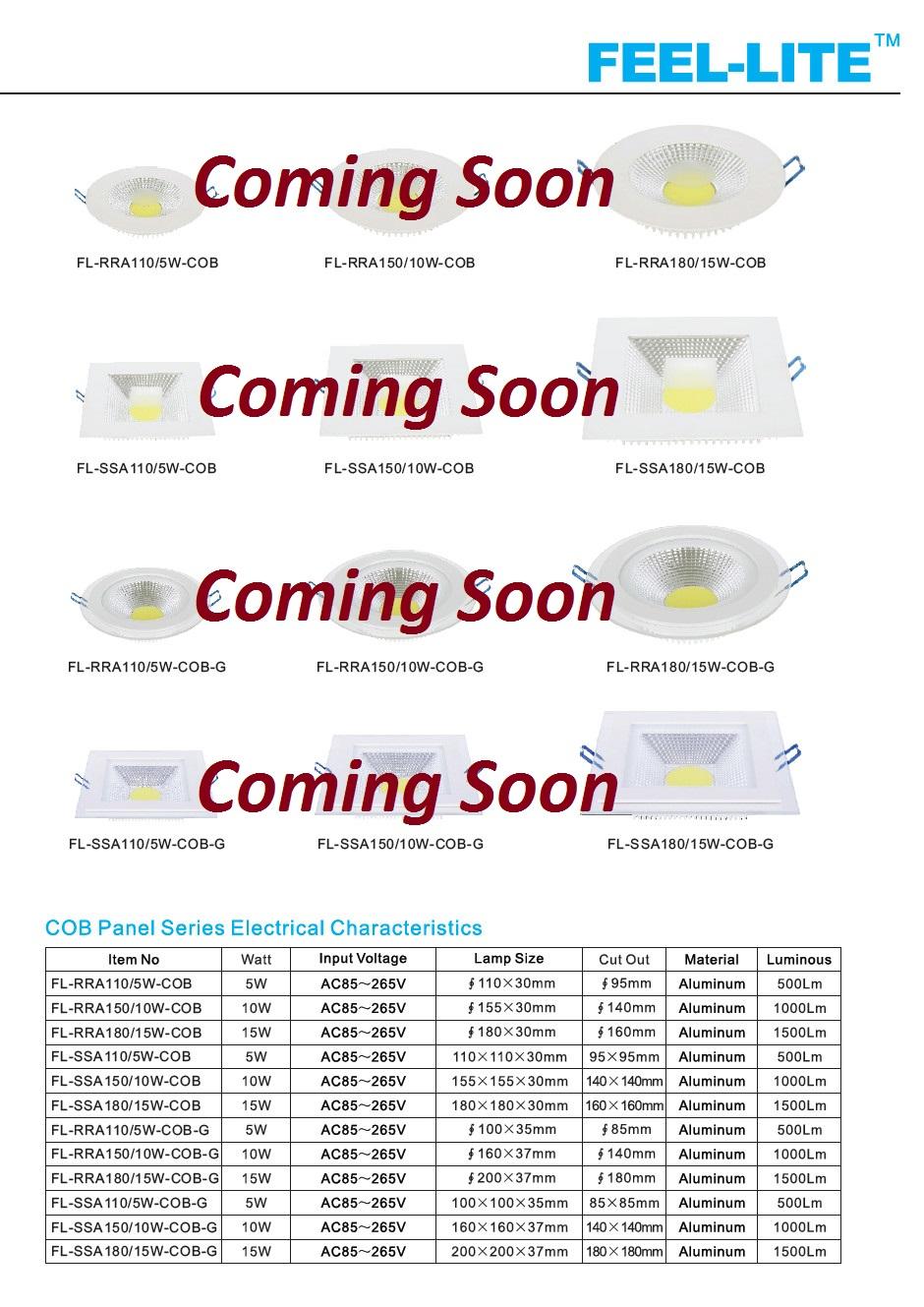 COB Down Light Series 1