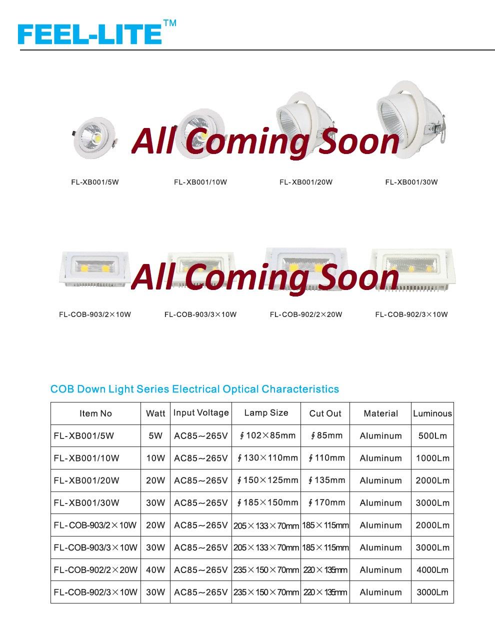 COB Down Light Series 1