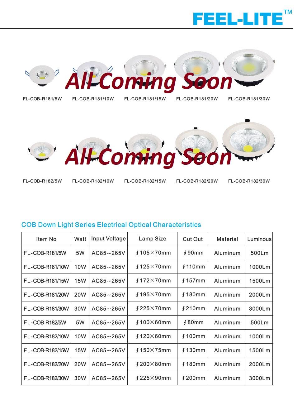 COB Down Light Series 1