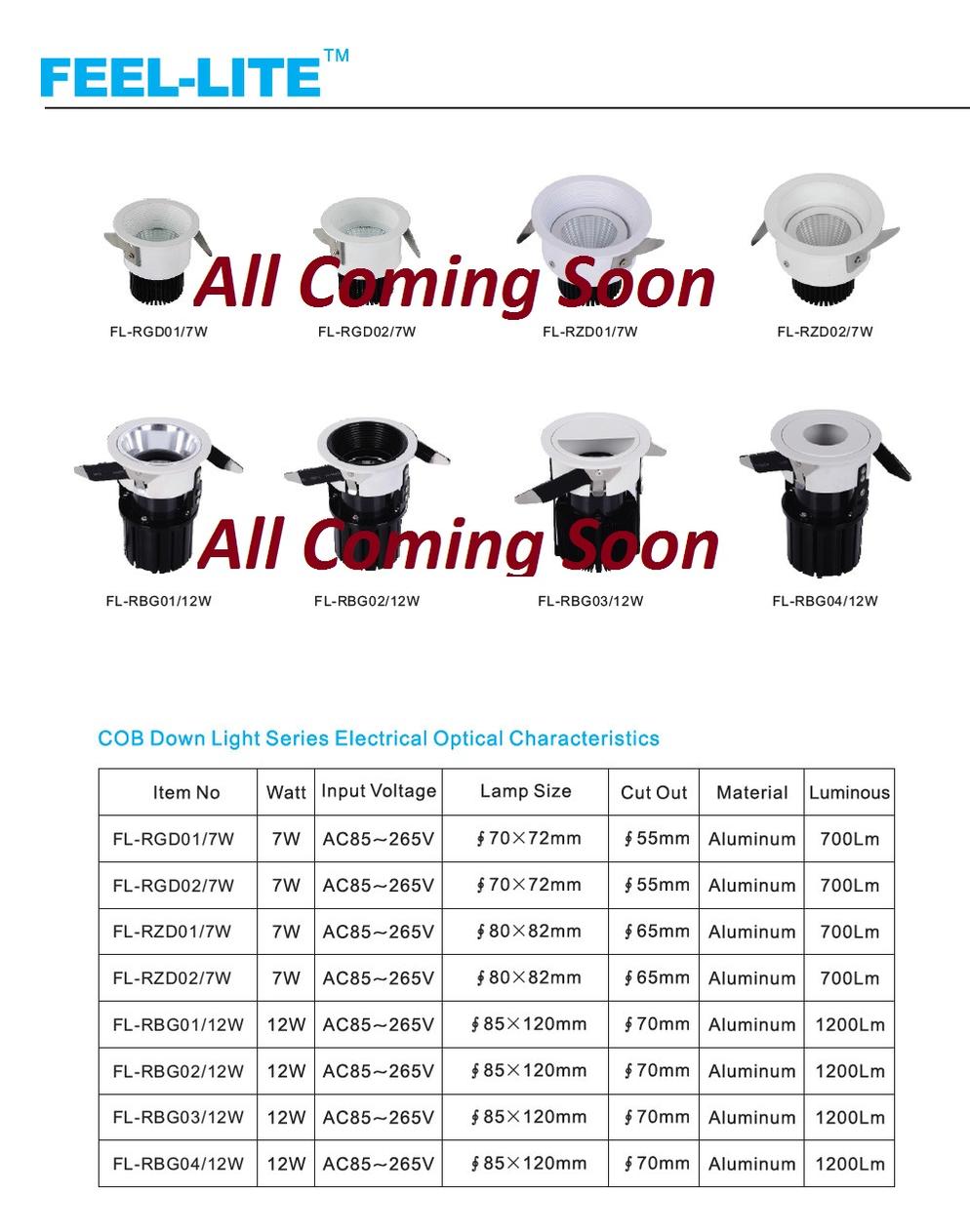 COB Down Light Series 1