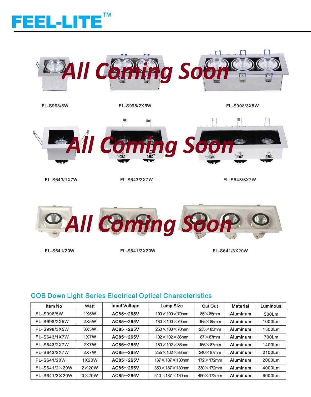 COB Down Light Series 2
