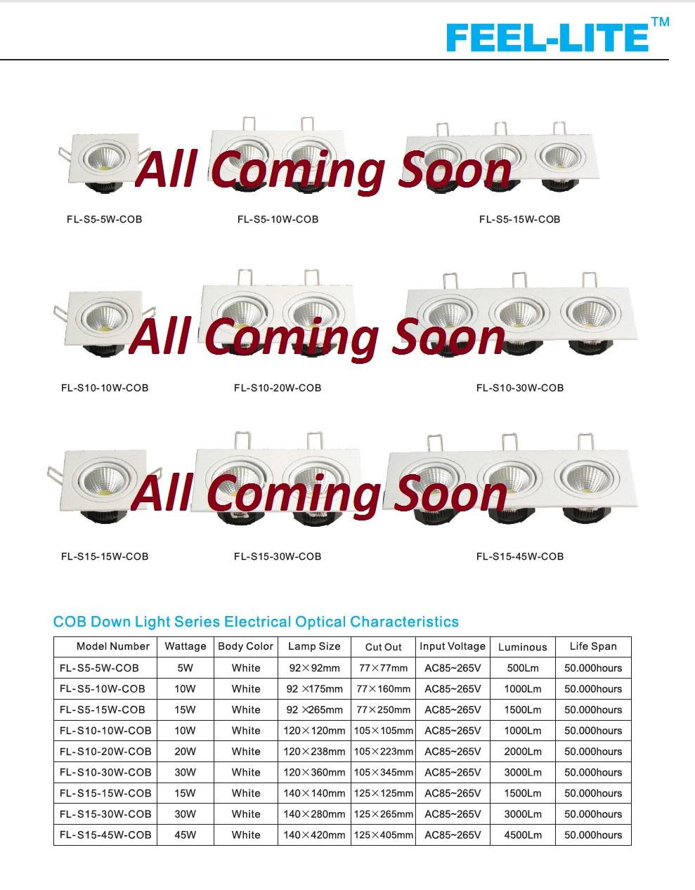 COB Down Light Series 2