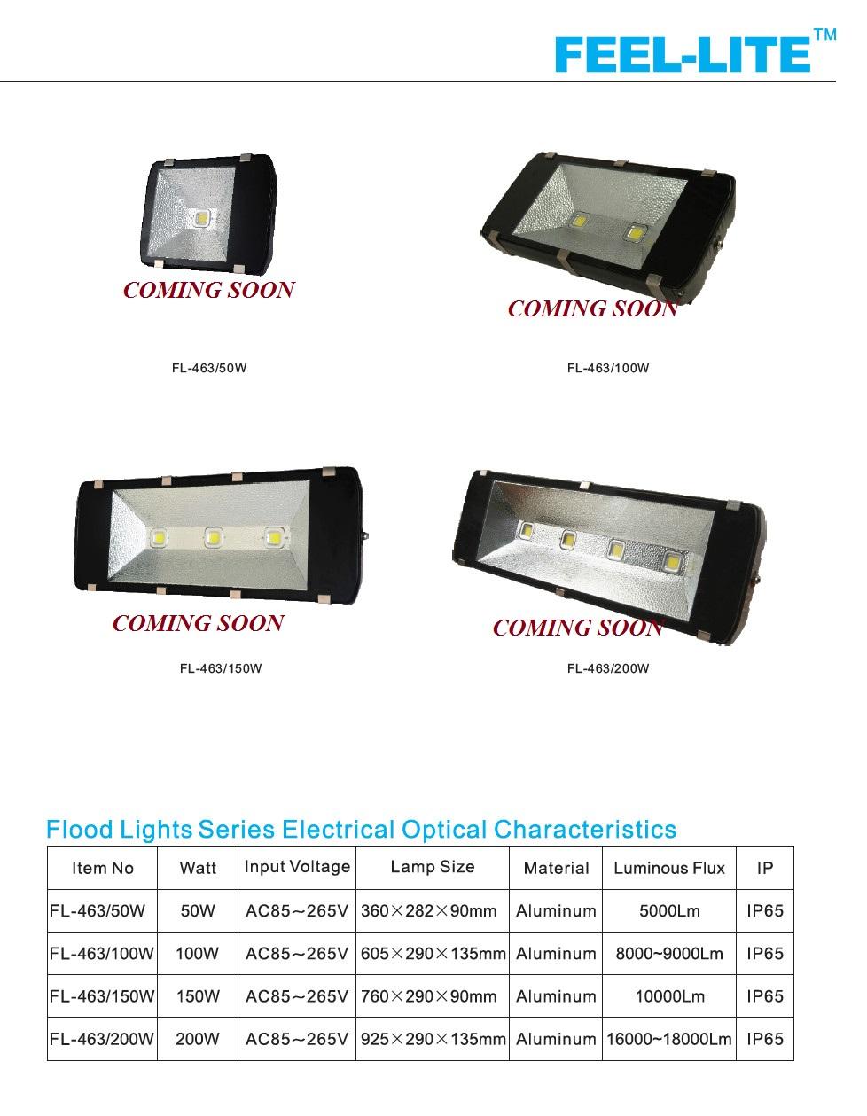 LED FLOOD LIGHT 2