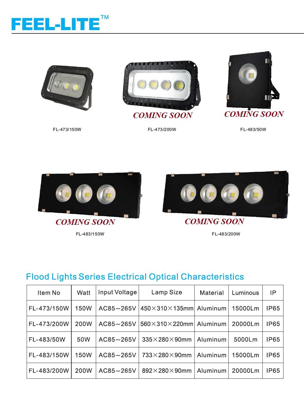 LED FLOOD LIGHT 2