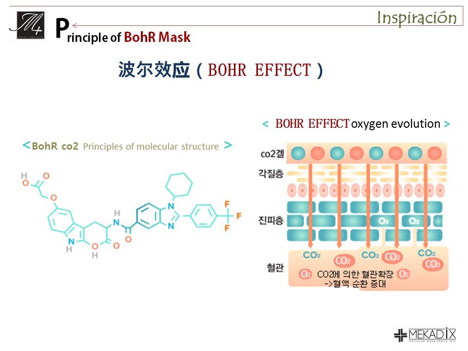 BohR Mask