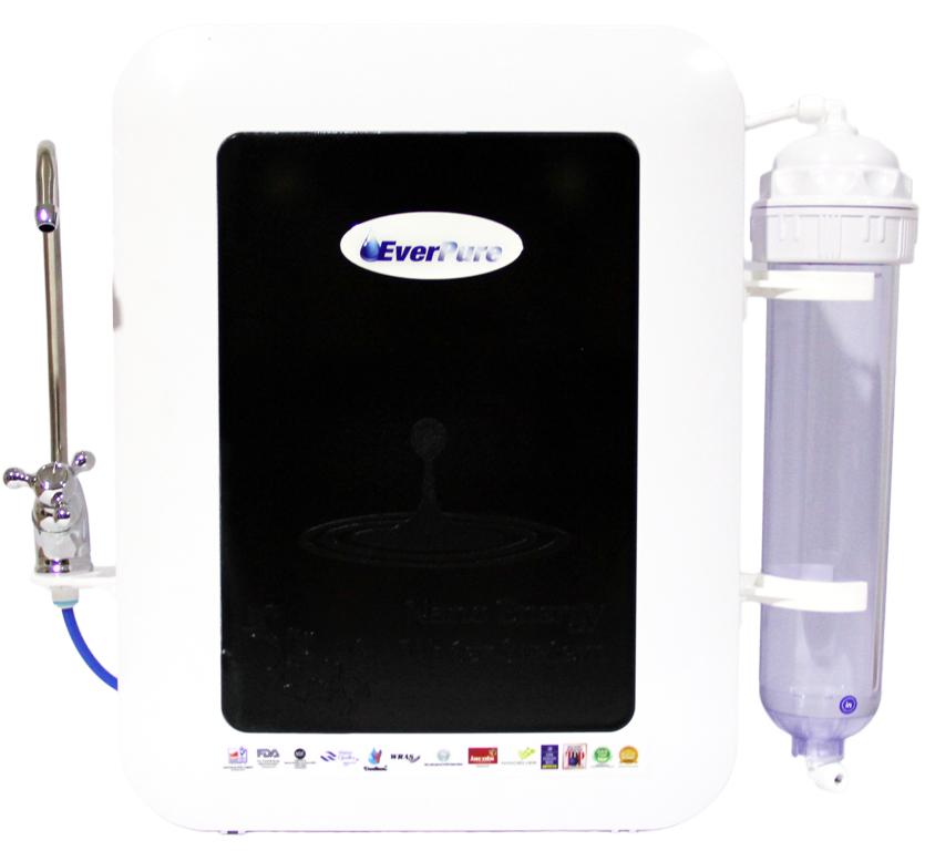 EverPure Nano Alkaline Water Filter System