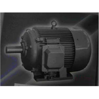 HY Series of Nuclear Power 3-Phase Asynchronous Motor