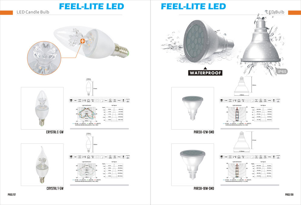 LED BULB 2017