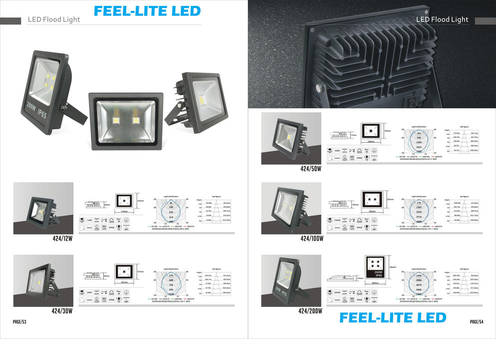 LED FLOOD LIGHT 2017