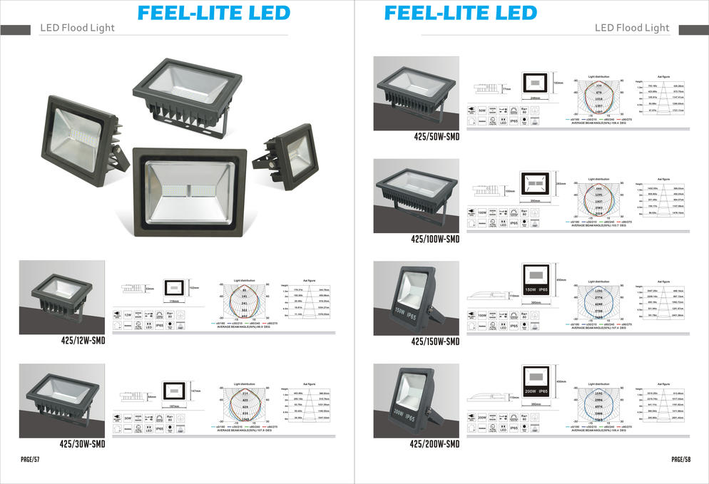 LED FLOOD LIGHT 2017