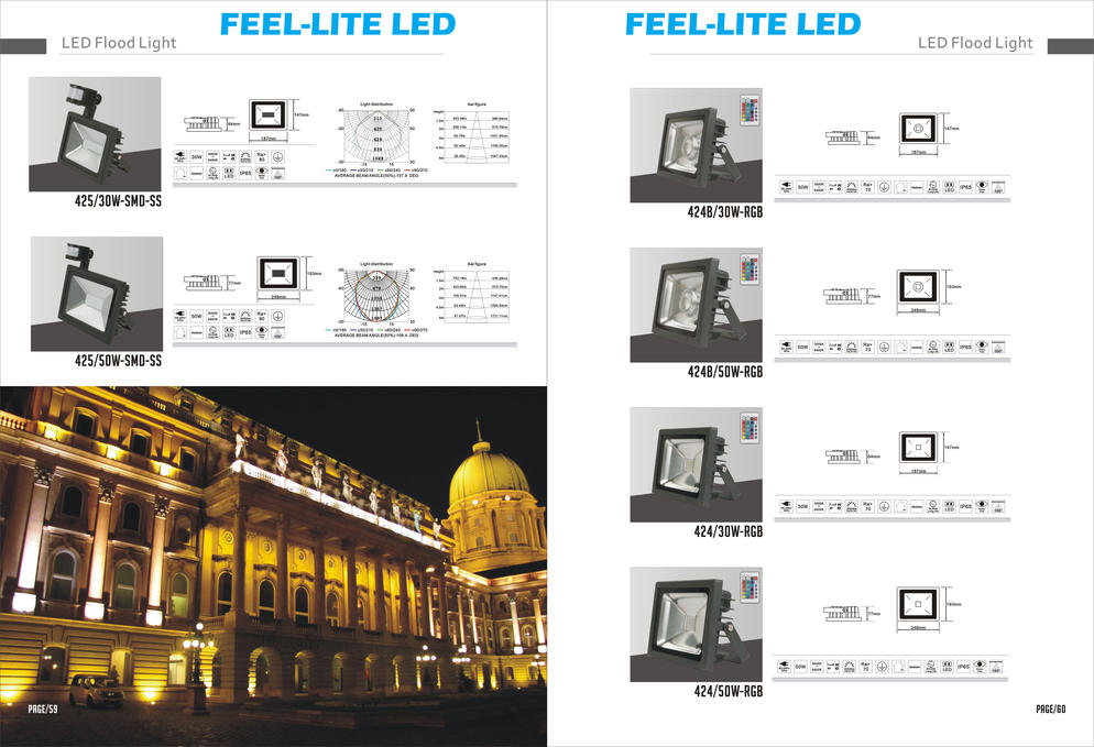 LED FLOOD LIGHT 2017
