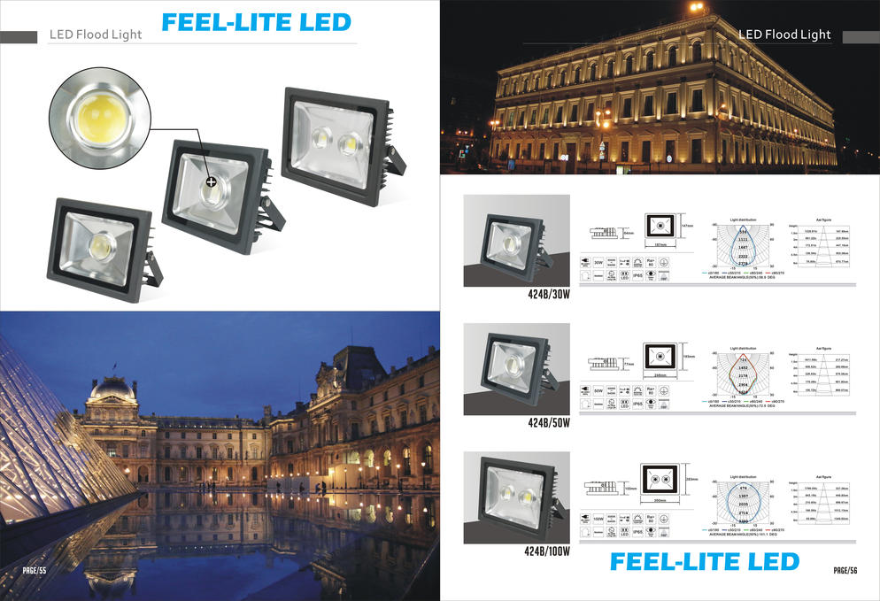 LED FLOOD LIGHT 2017