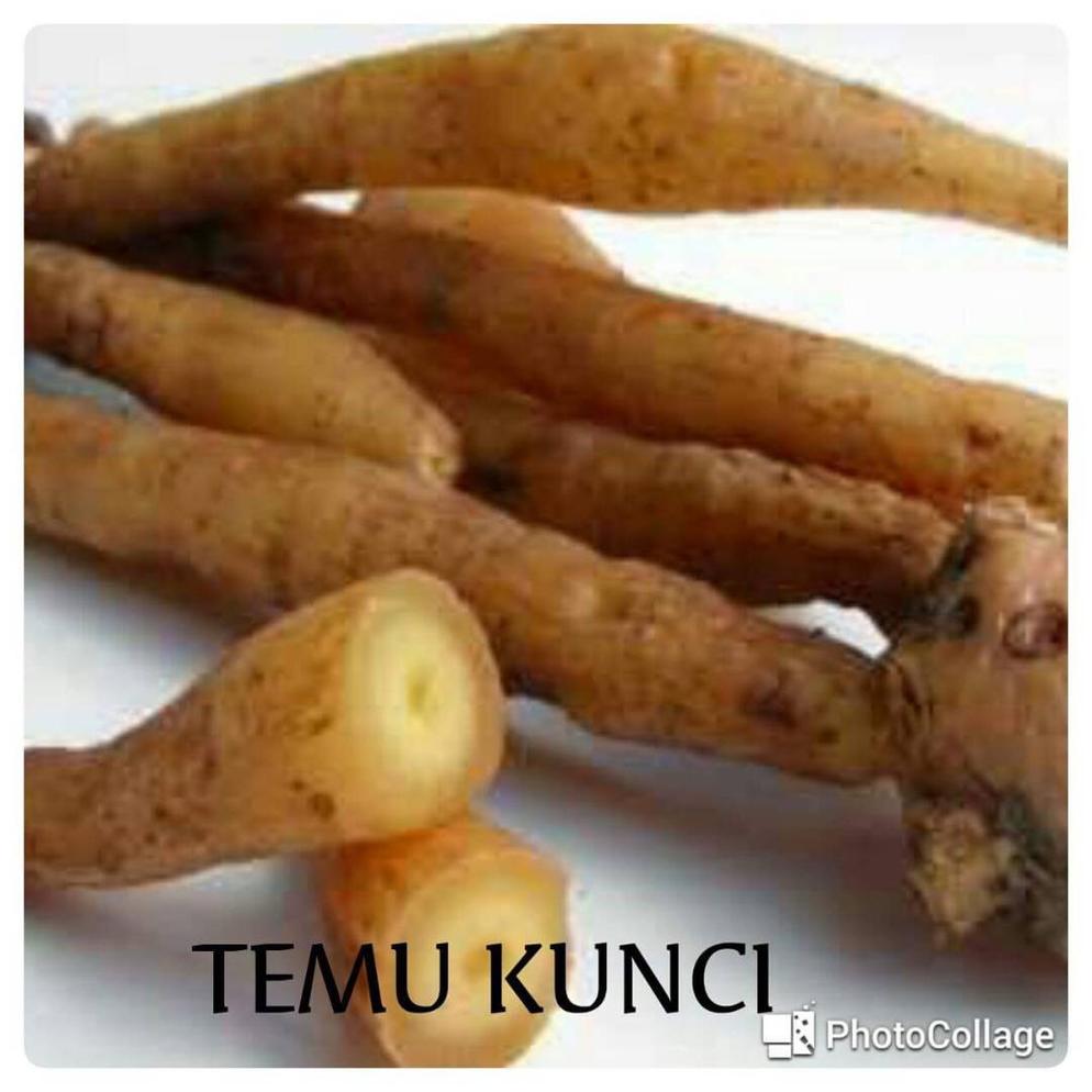 Temu Kunci