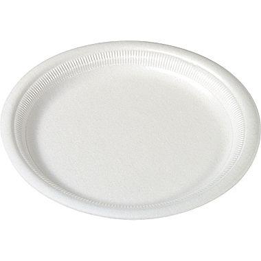 Foam Plate