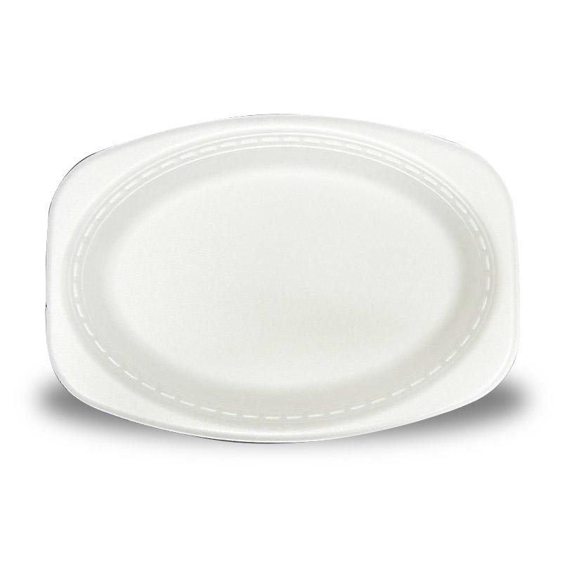 Foam Plate