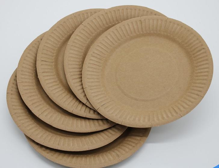 Paper Plate