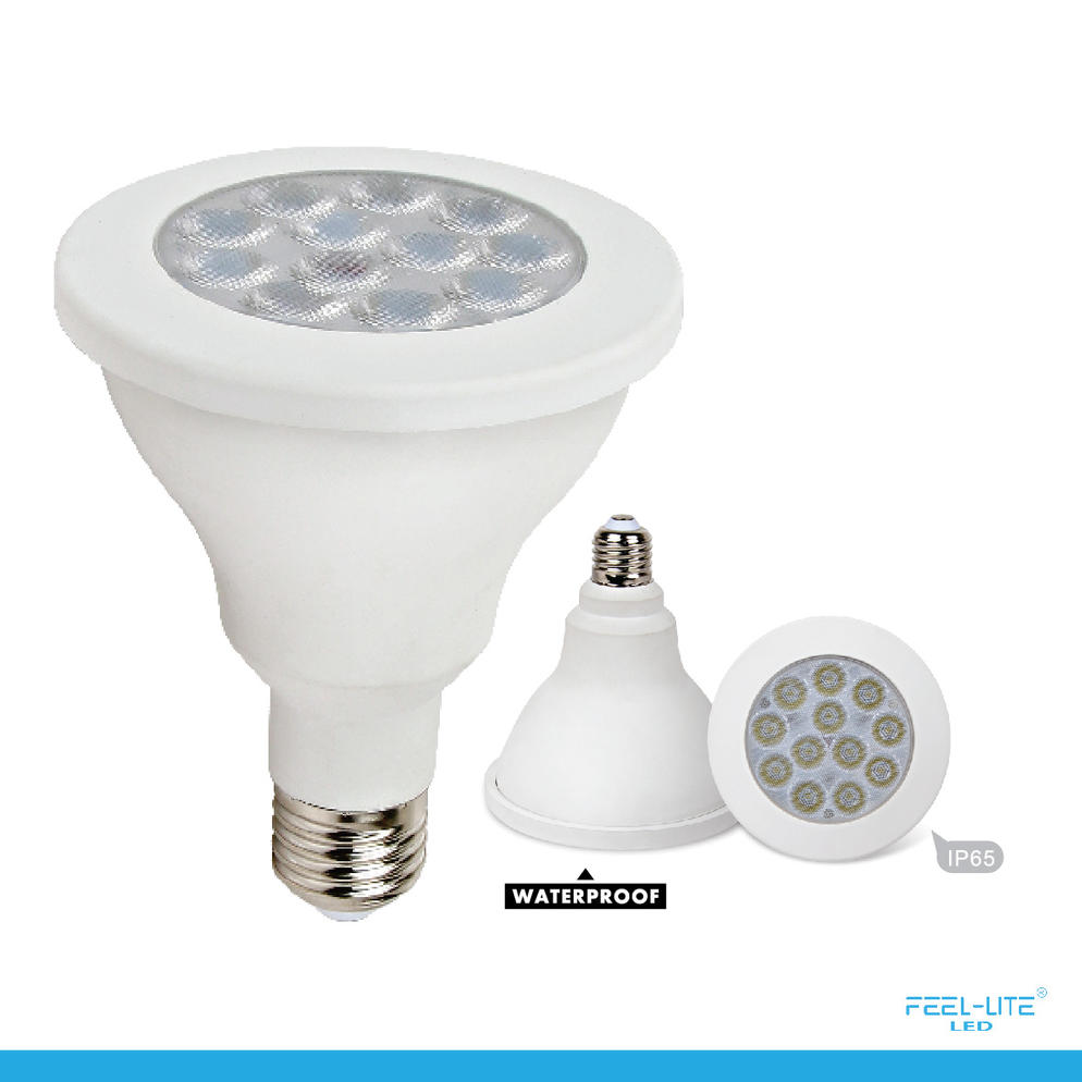 WATERPROOF LED PAR30-12W