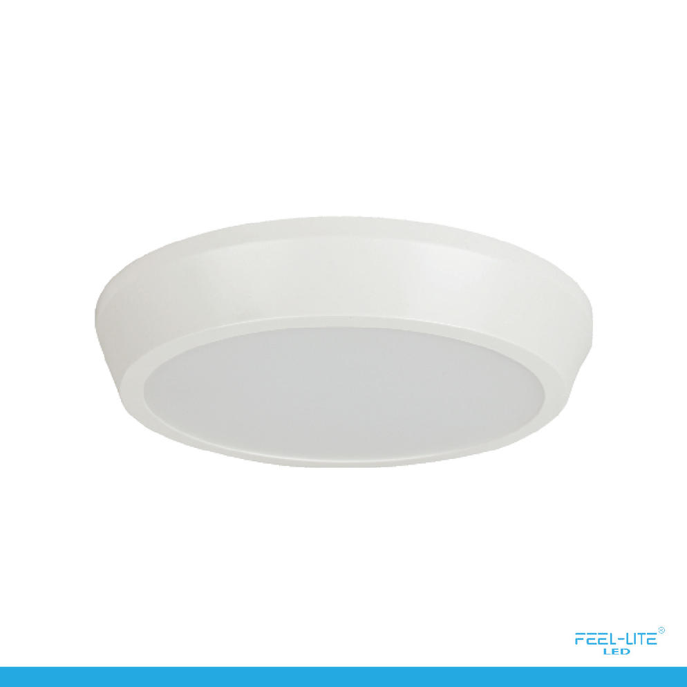 CEILING LIGHT-MRC225-20W