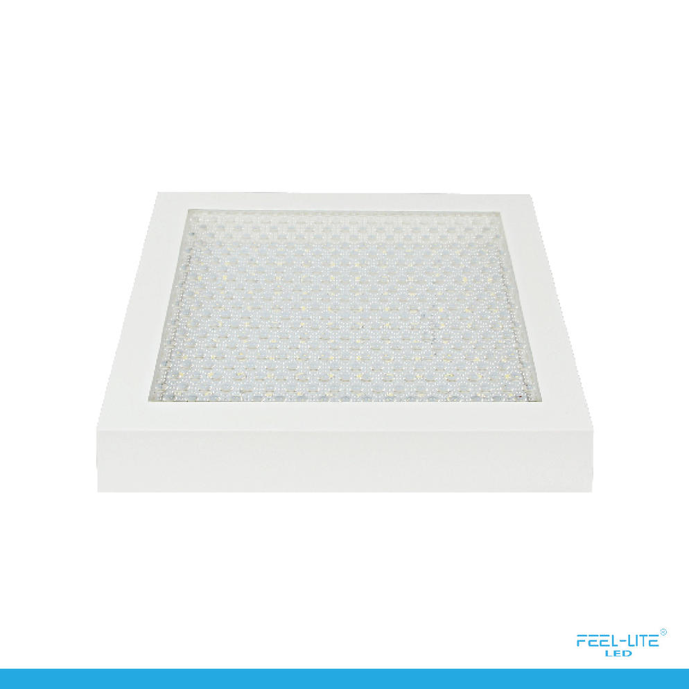 CEILING LIGHT-MSC225-20W