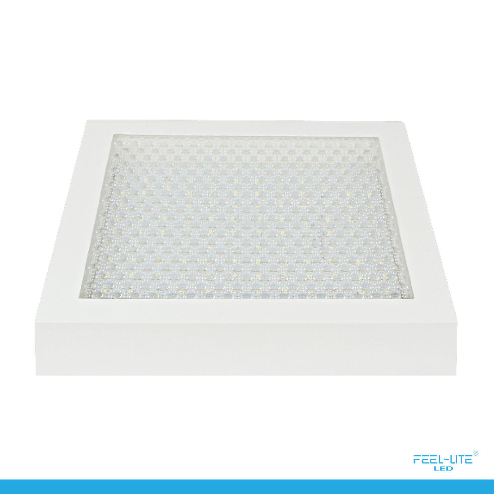 CEILING LIGHT-MSC300-30W