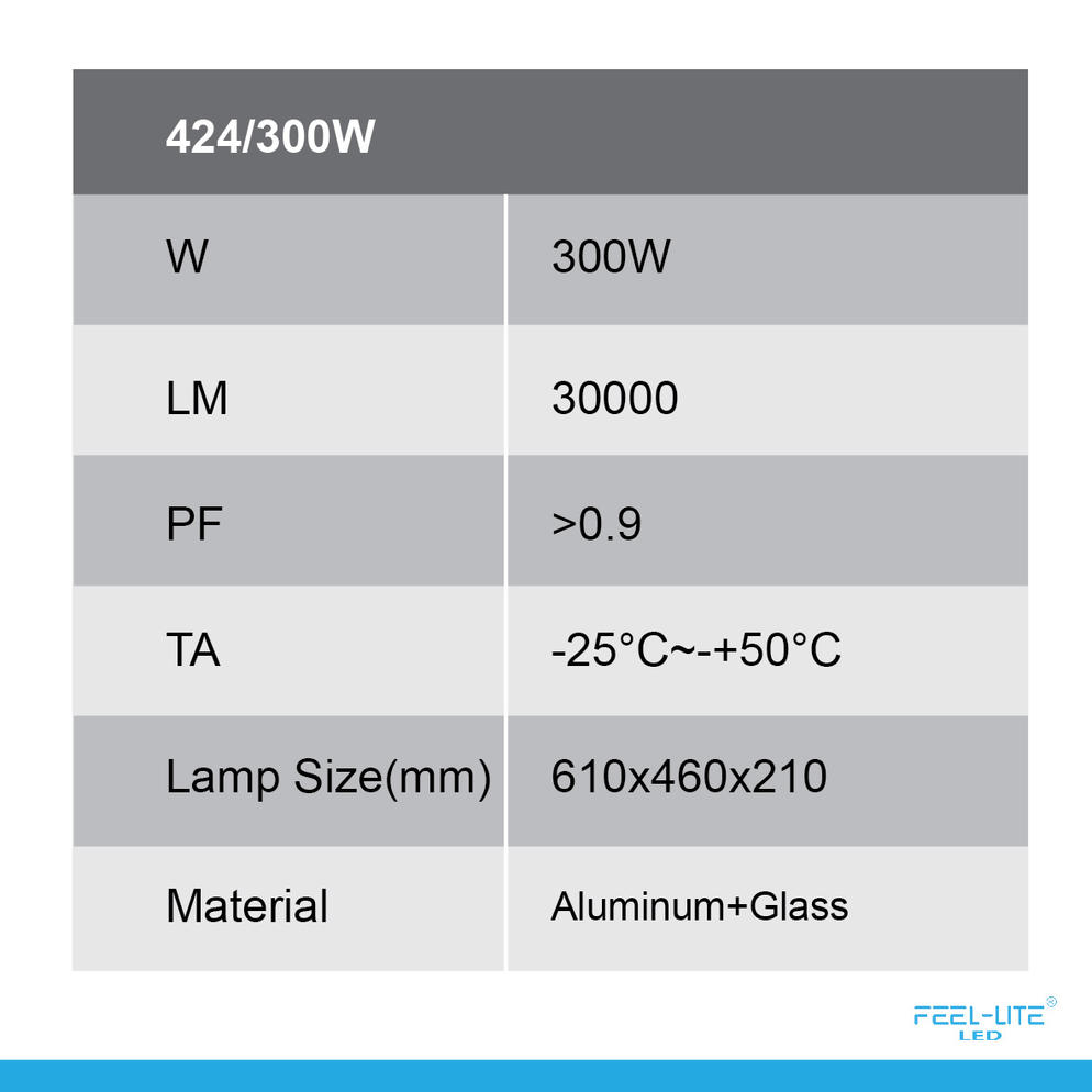 LED 424-300W