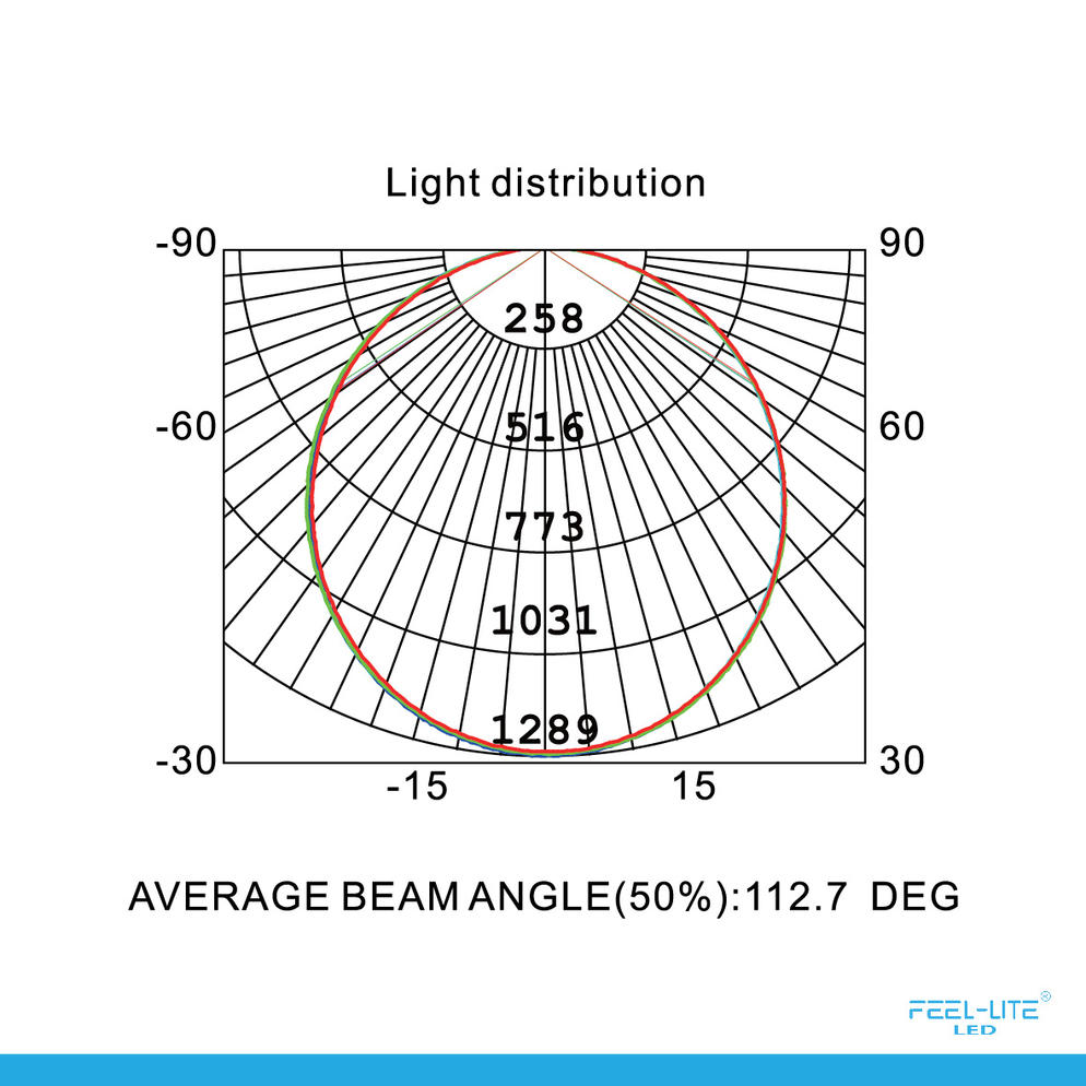 CEILING LIGHT-C6060-40W