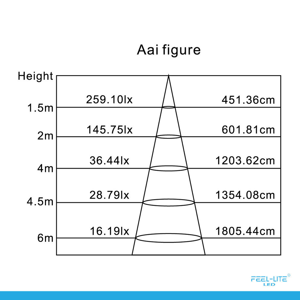 CEILING LIGHT C3060-20W