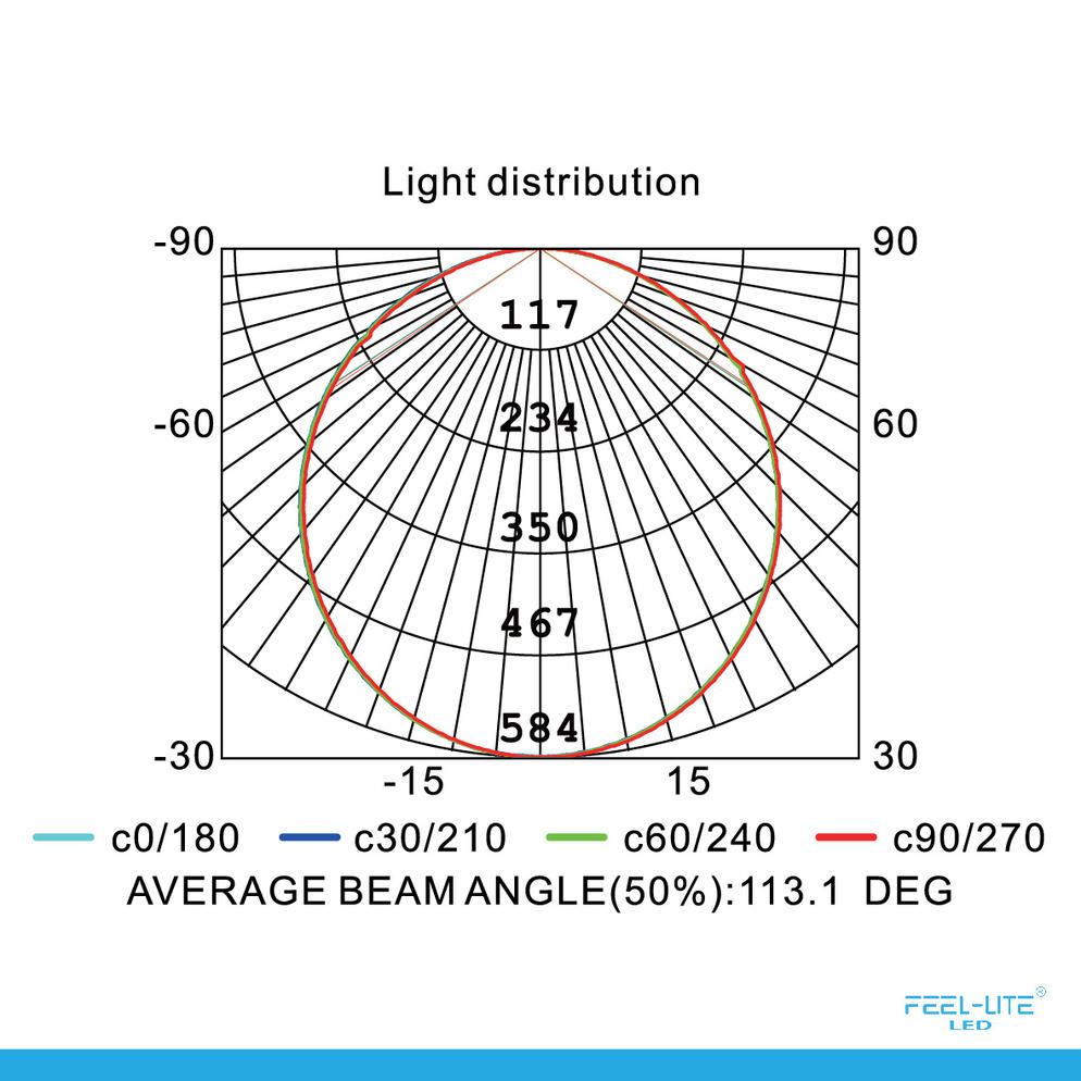 CEILING LIGHT C3060-20W