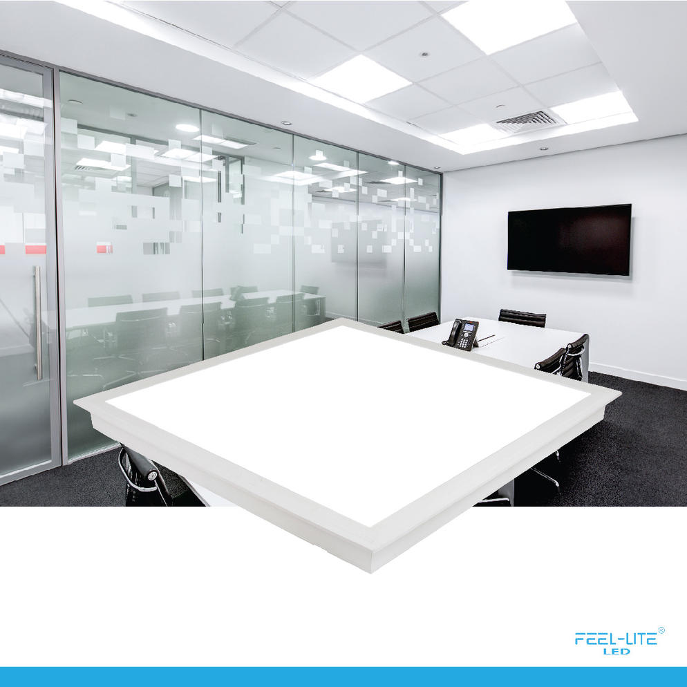 CEILING LIGHT C30120-40W