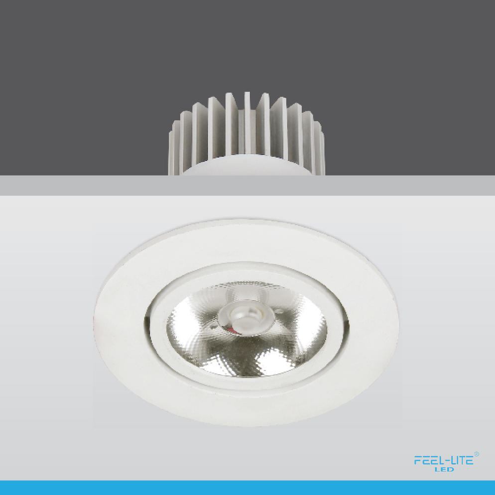 LED DOWNLIGHT-D1503-12W-T
