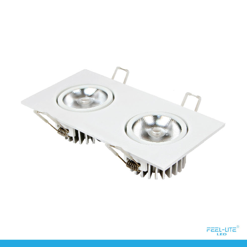 LED DOWNLIGHT-S1503-12Wx2-T