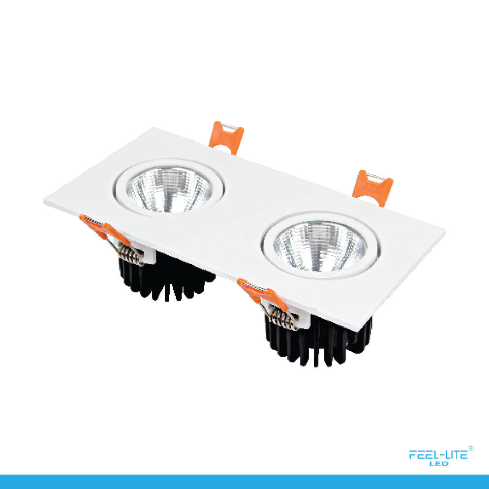 LED DOWNLIGHT-S1503-12Wx2-F