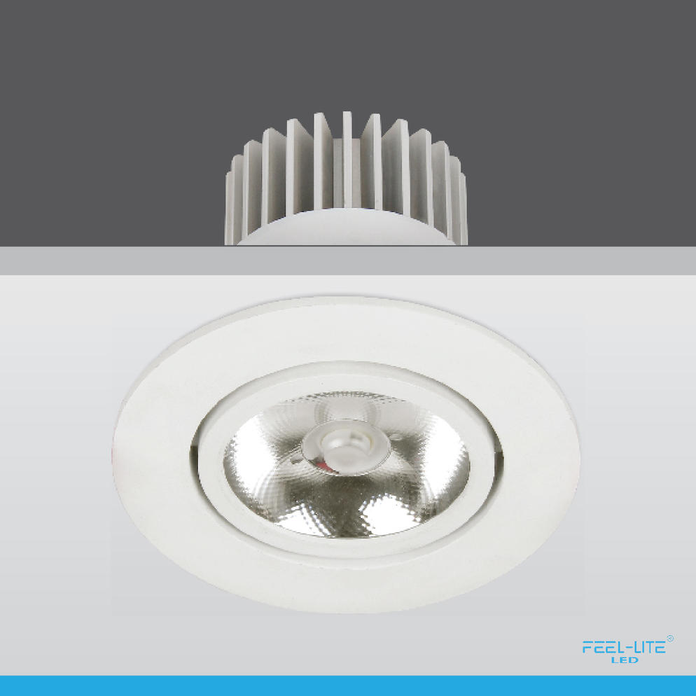 LED DOWNLIGHT-D1603-18W-T