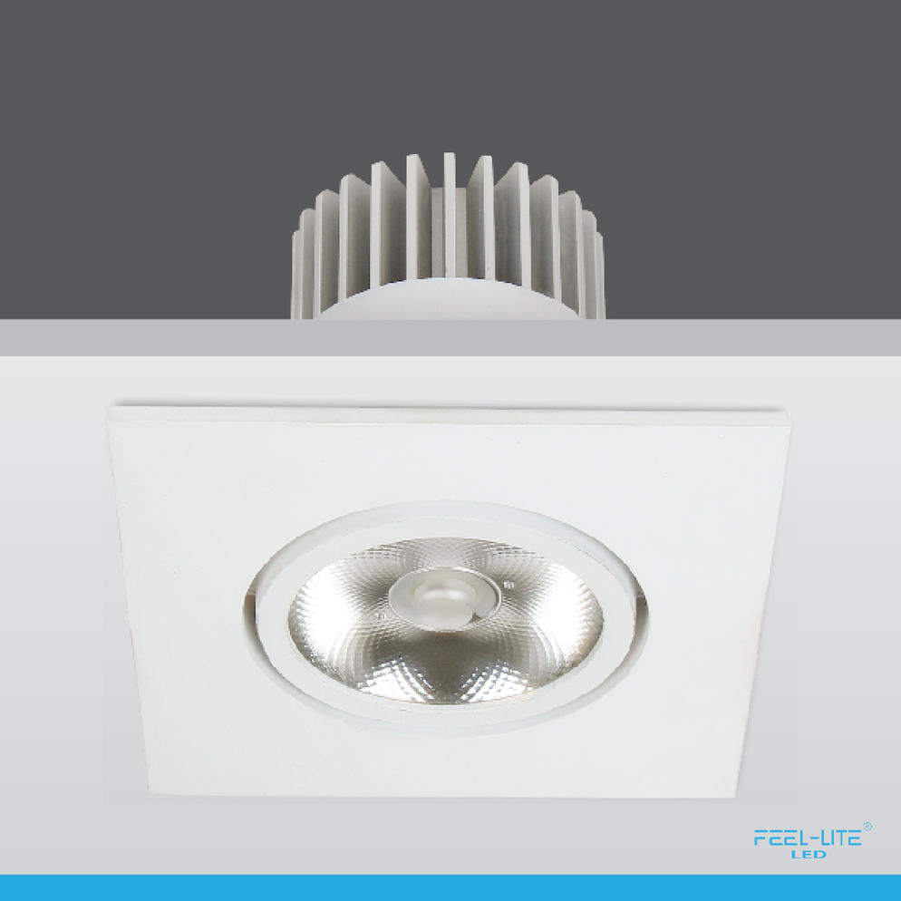 LED DOWNLIGHT-S1603-18W-T