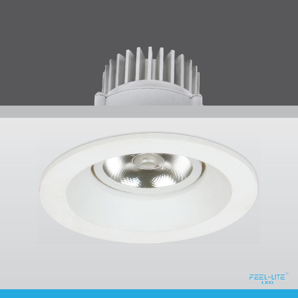 LED DOWNLIGHT-D1501-12W-T