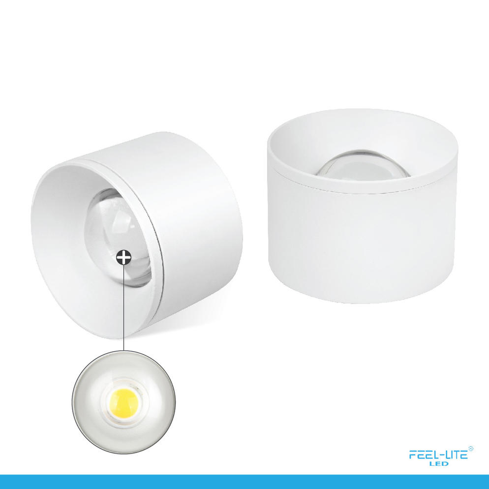 TRACK SPOT LIGHT-C1605-12W-WH