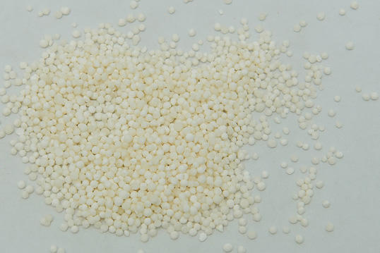 White Sago (small)