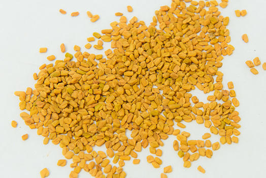 Fenugreek seed