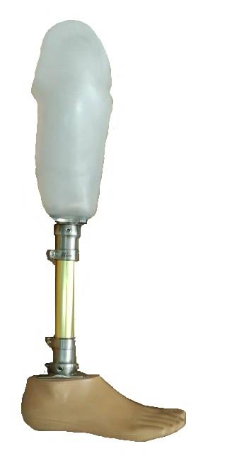 Below Knee Prosthetic Leg ( Transtibial)