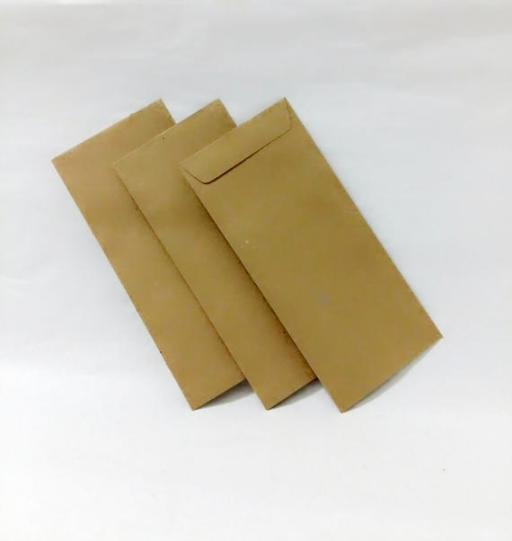 Brown Envelope 4" x 9"-500's