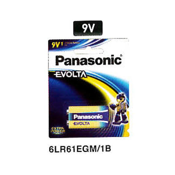 Panasonic 6LR61EGM/1B 9V Battery