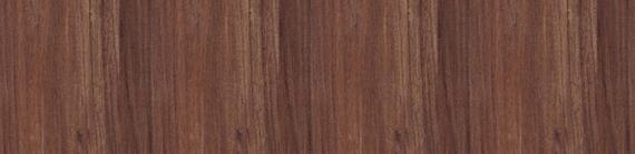 Elm Oak