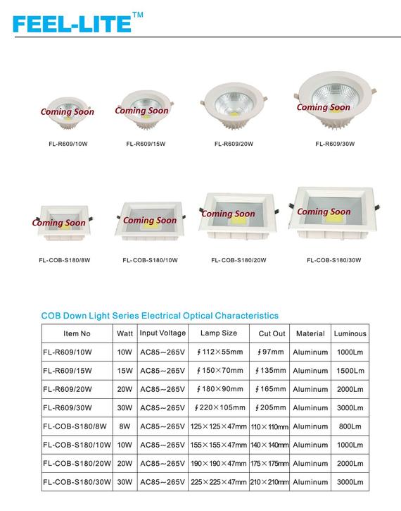 COB Down Light Series 1