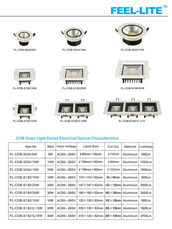 COB Down Light Series 2