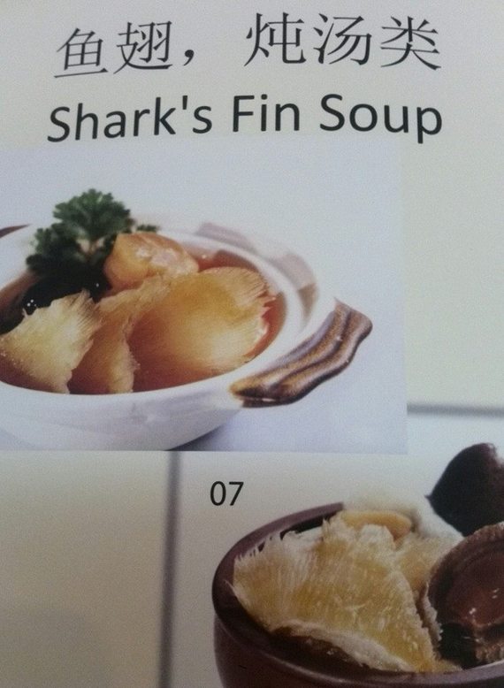 Shark's Fin Soup