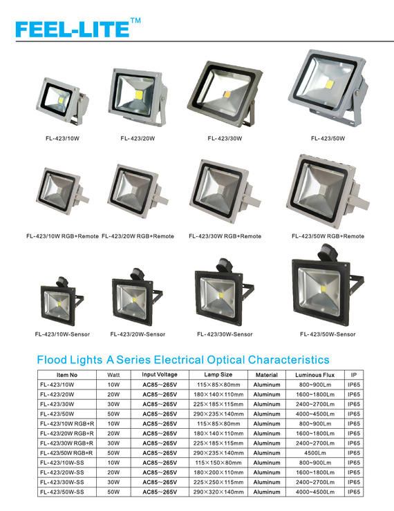 LED FLOOD LIGHT 1