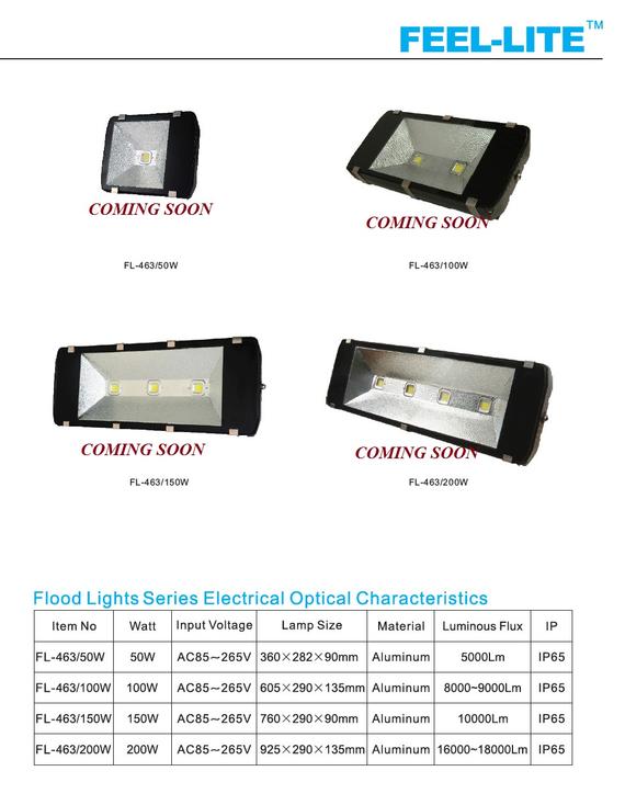 LED FLOOD LIGHT 2